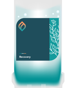 Recovery